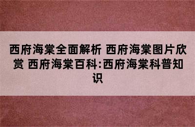 西府海棠全面解析 西府海棠图片欣赏 西府海棠百科:西府海棠科普知识